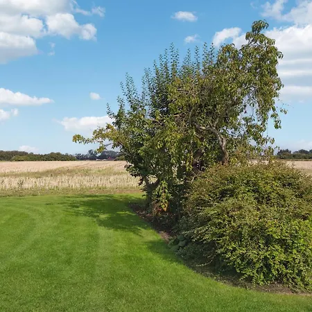 Vakantiehuis Lovely In With Kitchen